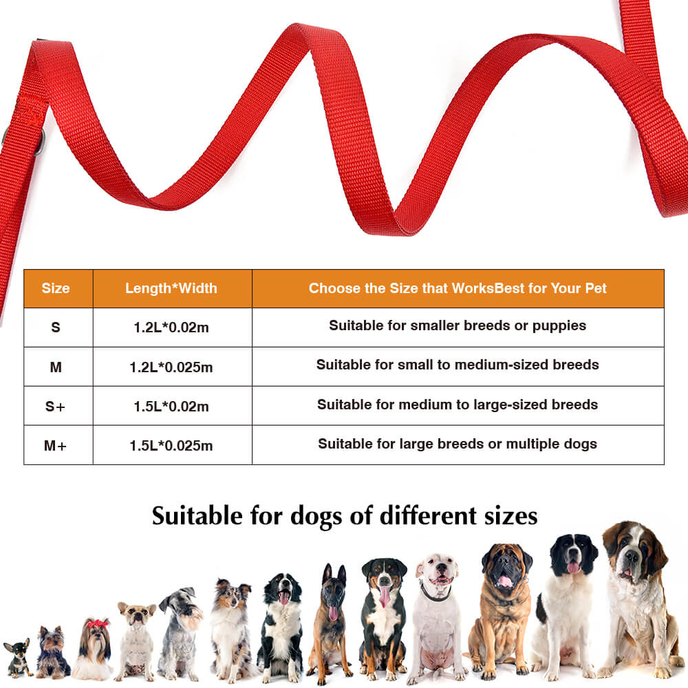 Dog Leash Double Thickness