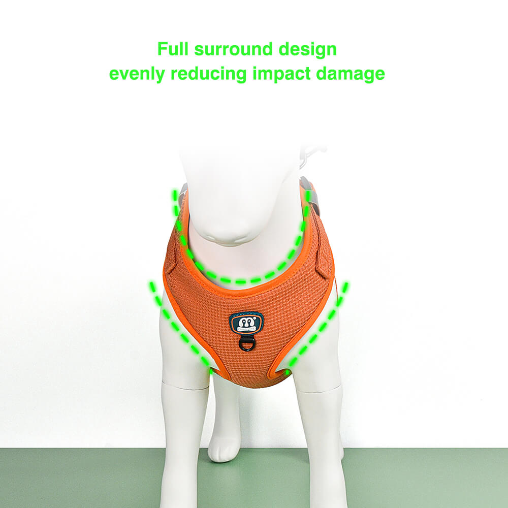 Dog Harness and Dog Leash 2 Pieces Kit Soild Colour