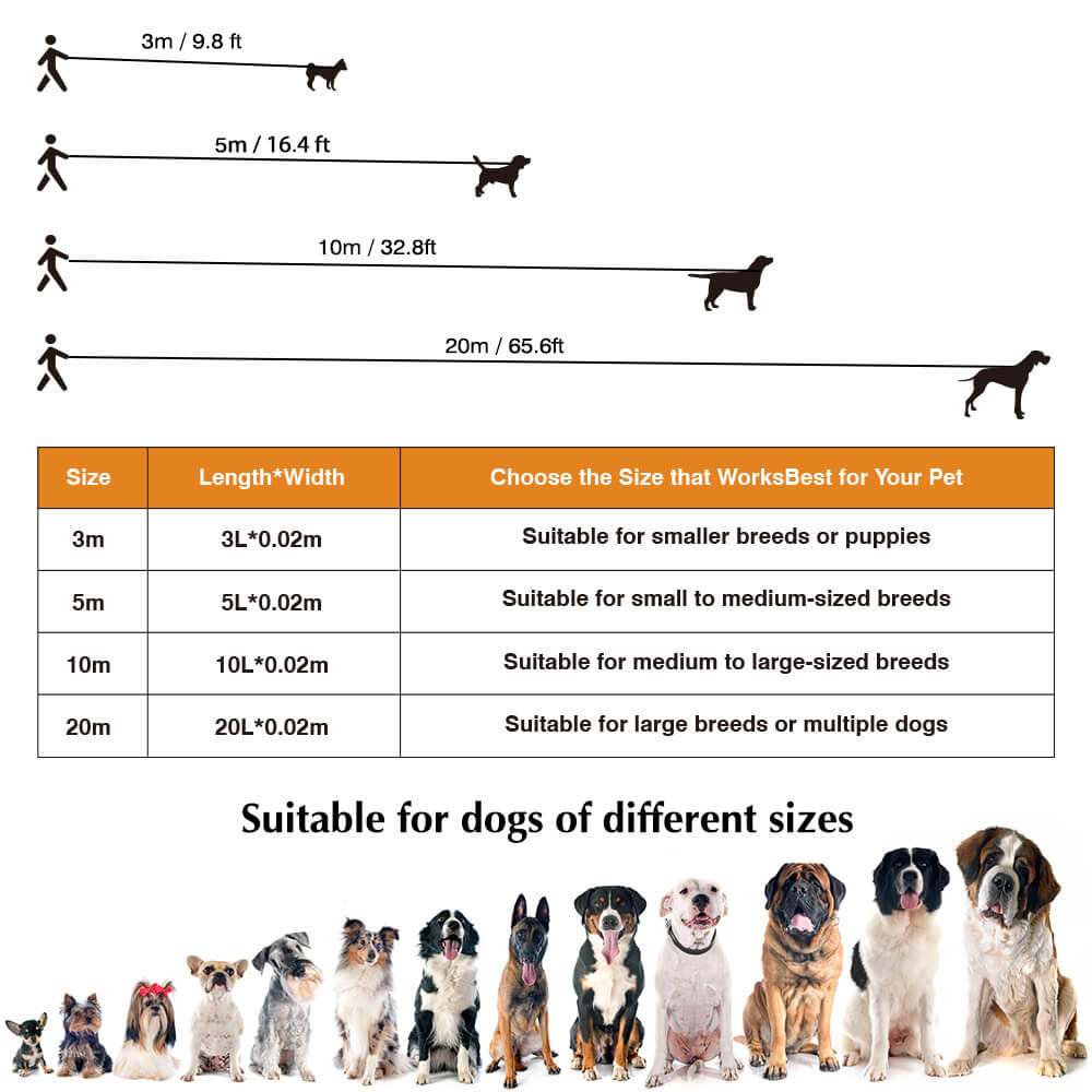 Extra Long Dog Leash Reflective Strip Design