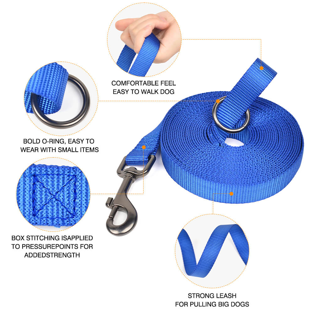 Dog Leash Extended Version