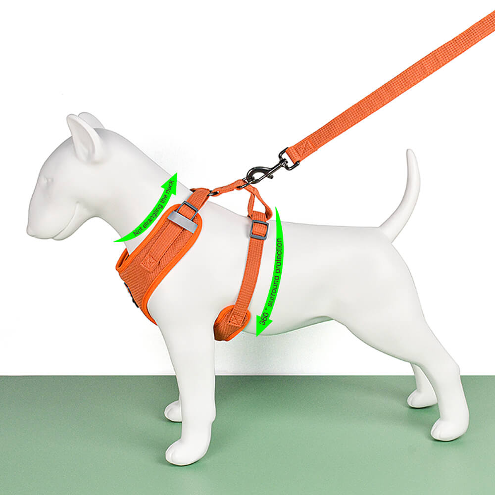 Dog Harness and Dog Leash 2 Pieces Kit Soild Colour