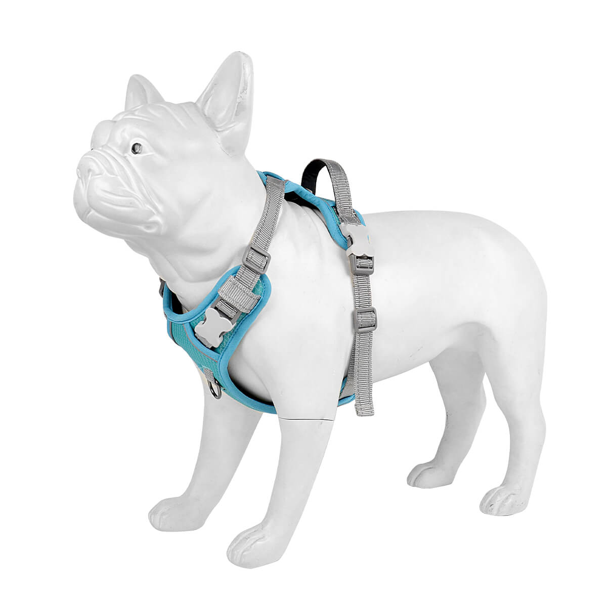No-pull Waterproof Dog Harness for Walking & Outdoor 