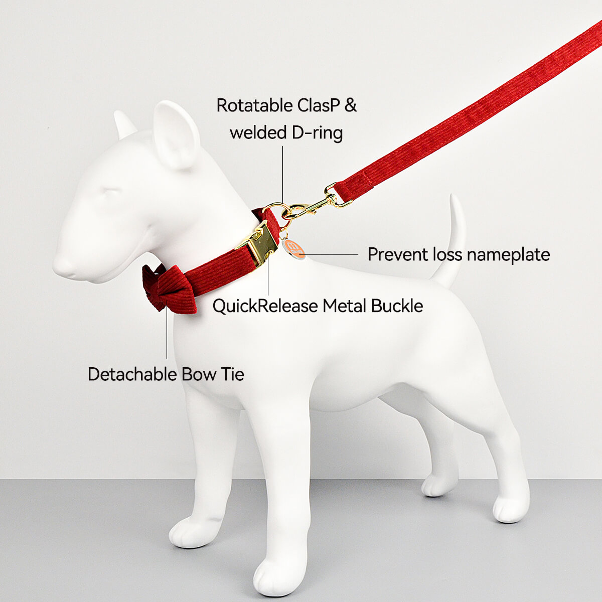 Pet Outing Set Collar and Leash