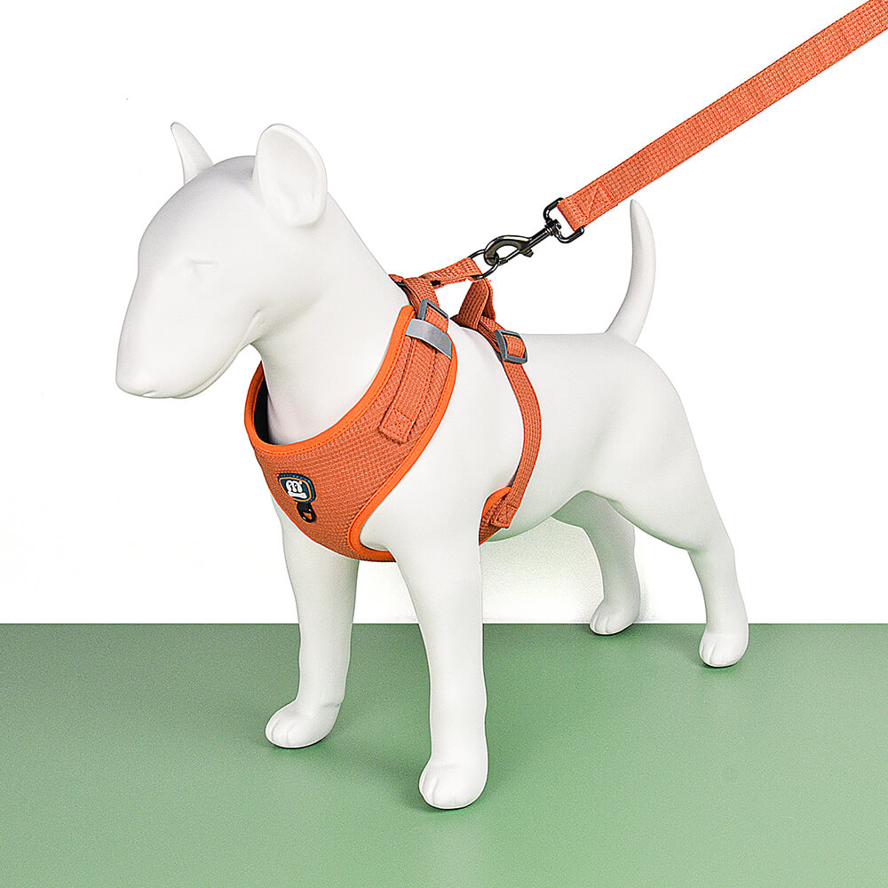 Dog Harness and Dog Leash 2 Pieces Kit Soild Colour