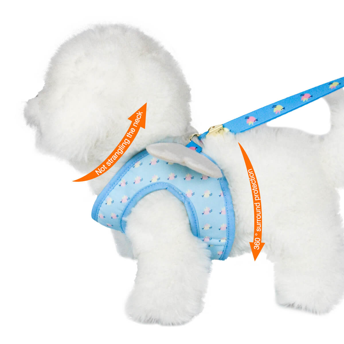Cute Dog Harness Wih Wings for Small Dogs 