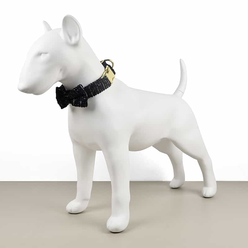 Dog Collar Leash  Double Layer Thickening