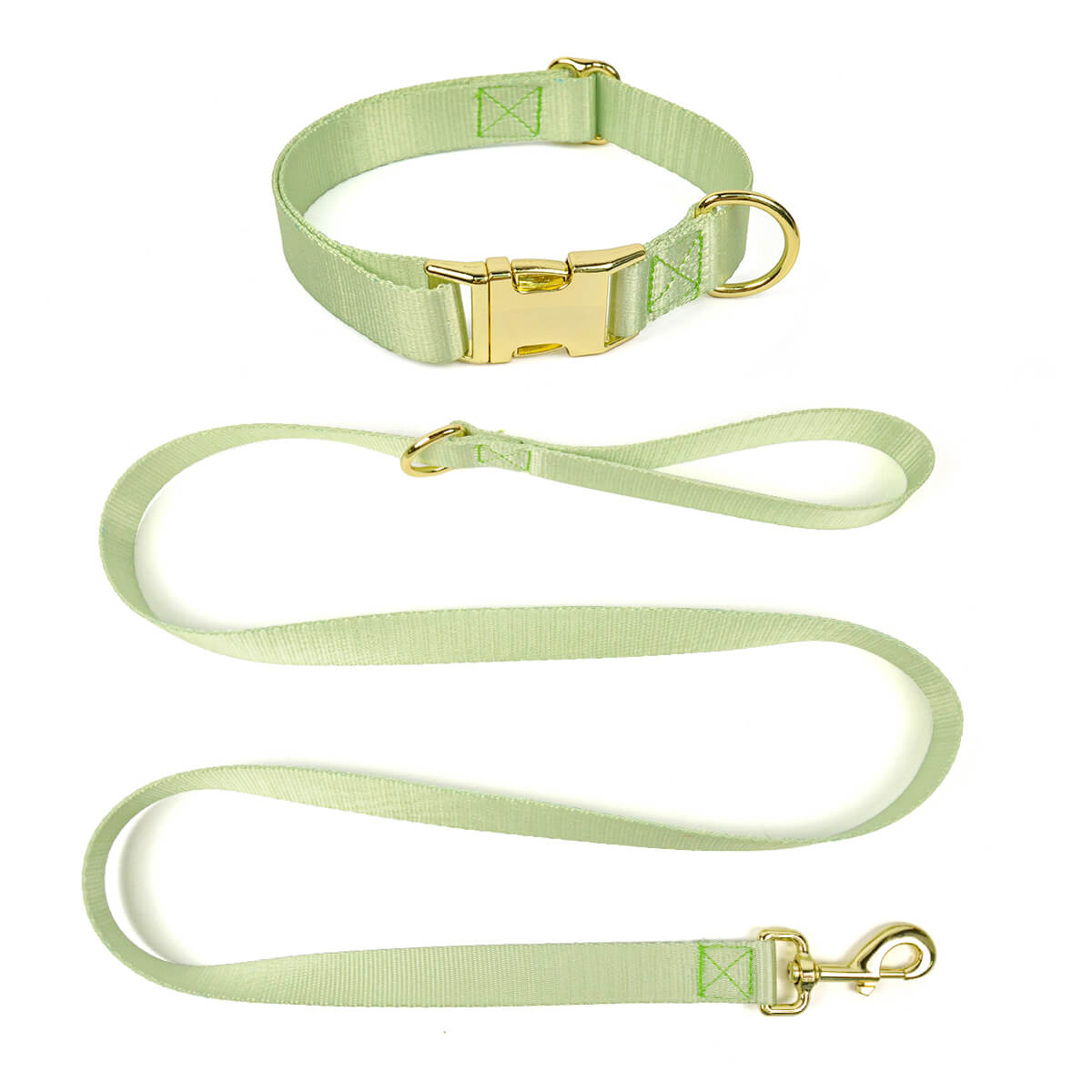 Dog Leash and Collar Pet travel 2-piece set