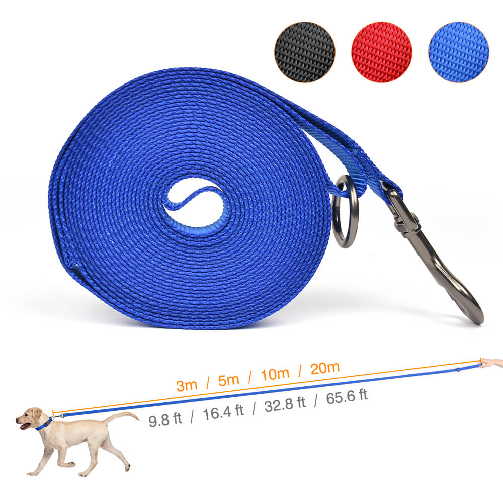 Dog Leash Extended Version