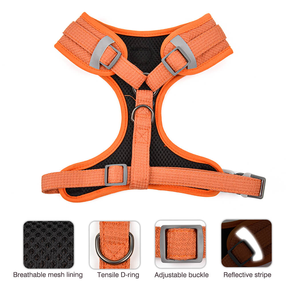Dog Harness and Dog Leash 2 Pieces Kit Soild Colour
