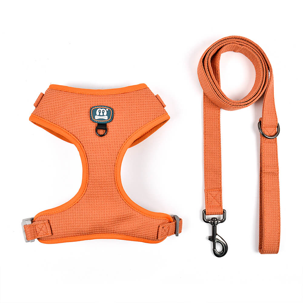 Dog Harness and Dog Leash 2 Pieces Kit Soild Colour