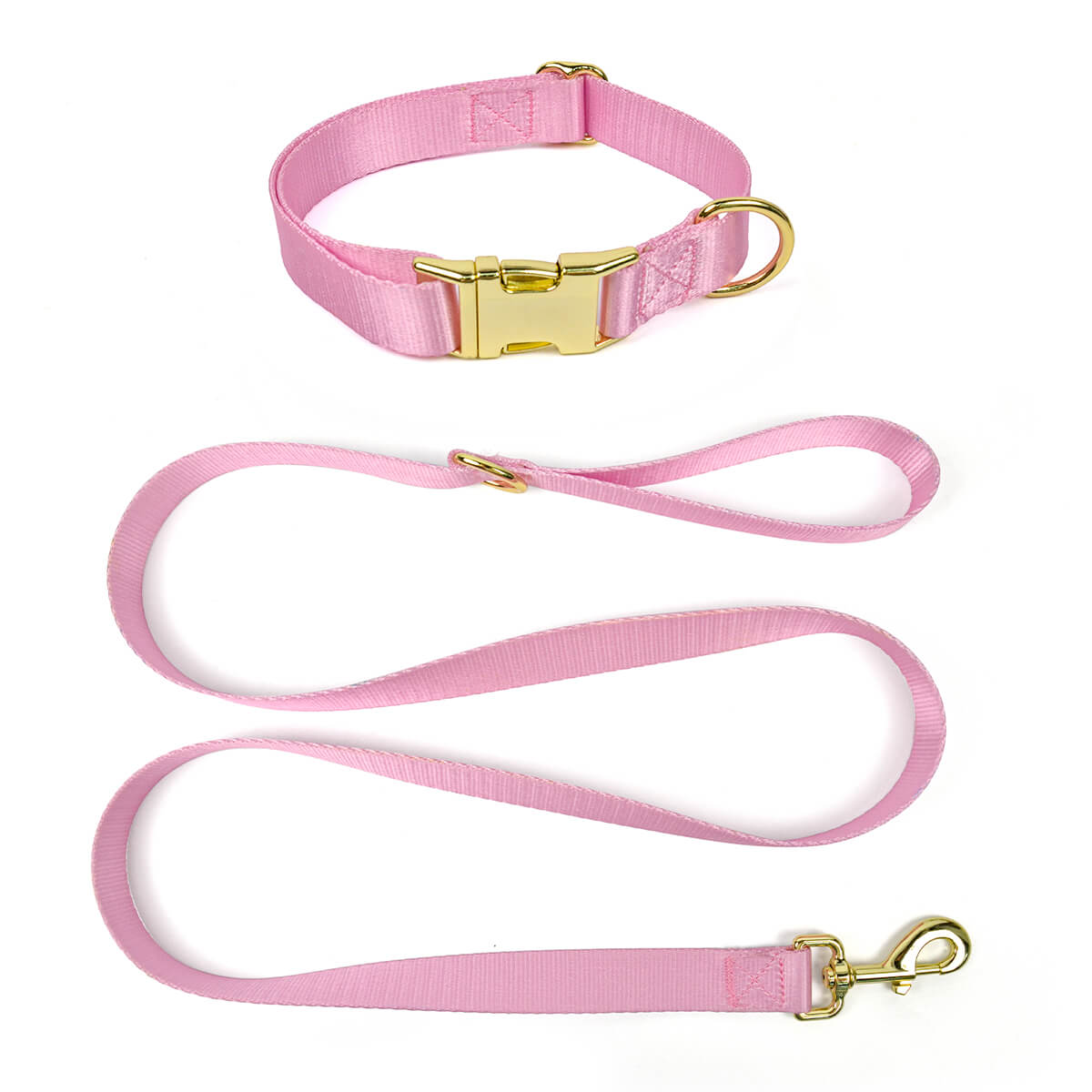 Dog Leash and Collar Pet travel 2-piece set