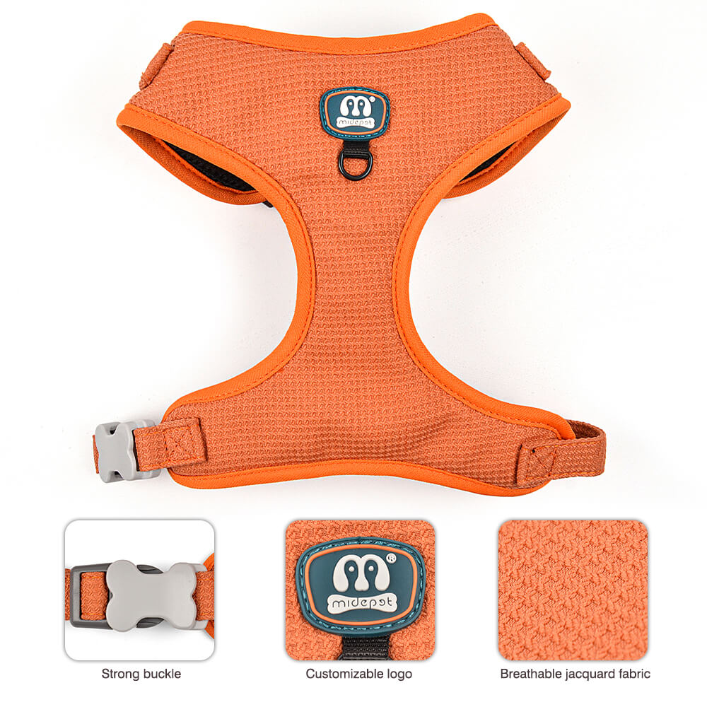 Dog Harness and Dog Leash 2 Pieces Kit Soild Colour