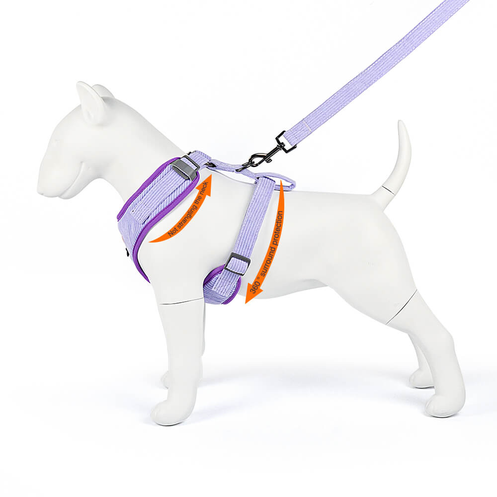 Pet Outing 3 Piece Set Corduroy
