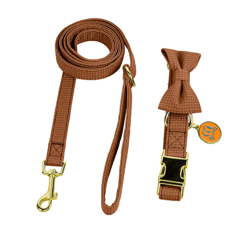 Dog Collar Leash Pet Outing Set