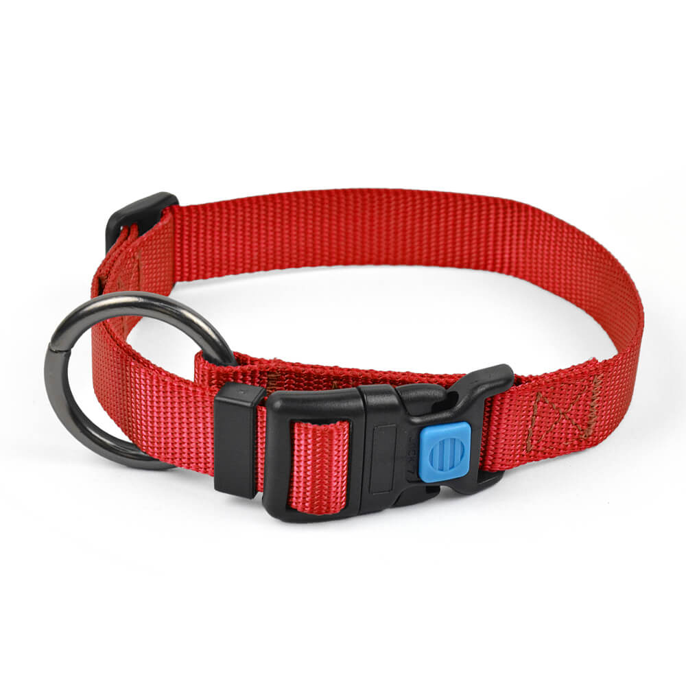 Dog Collar O Solid Color
