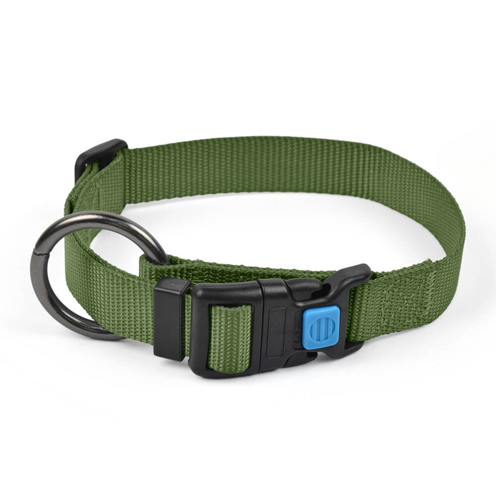 Dog Collar O Solid Color