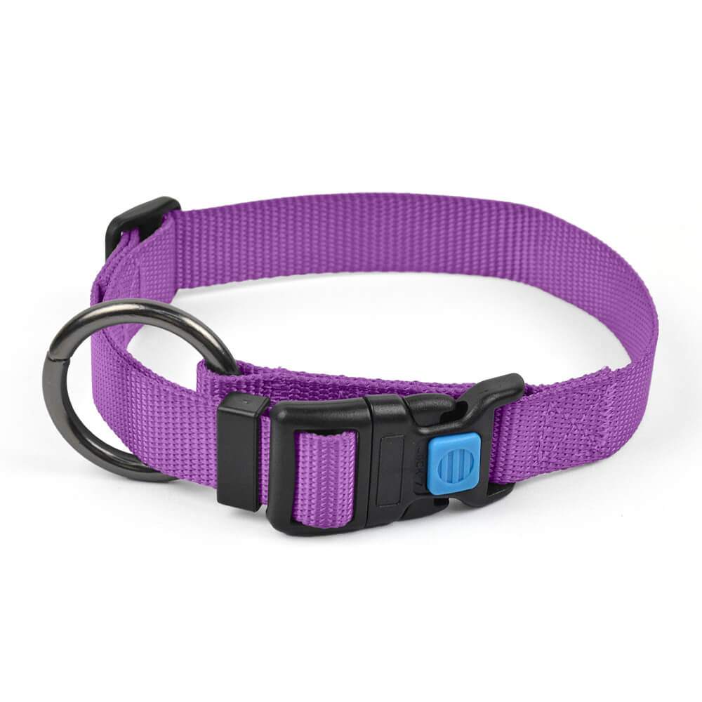 Dog Collar O Solid Color