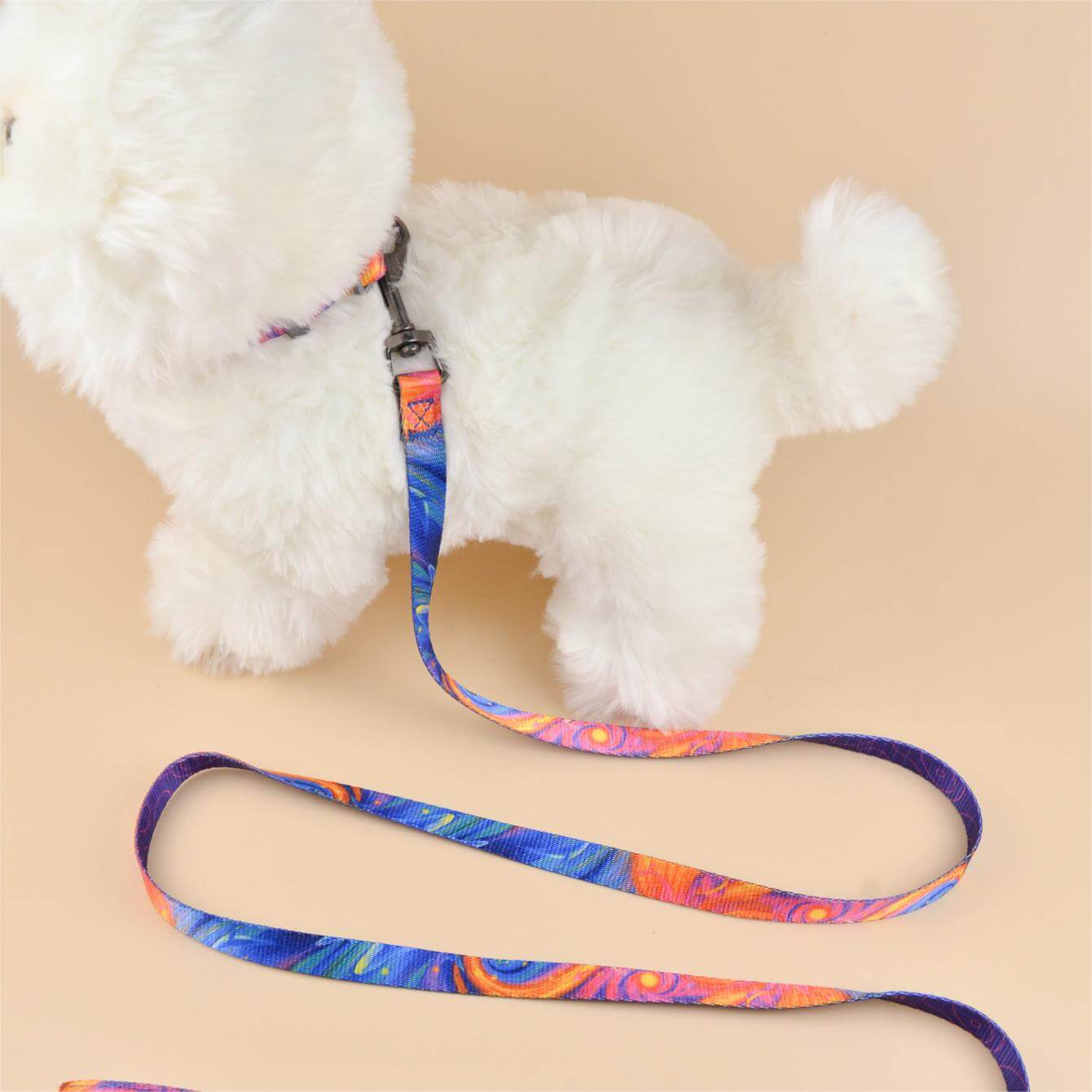 Dog Leash Star Sea style