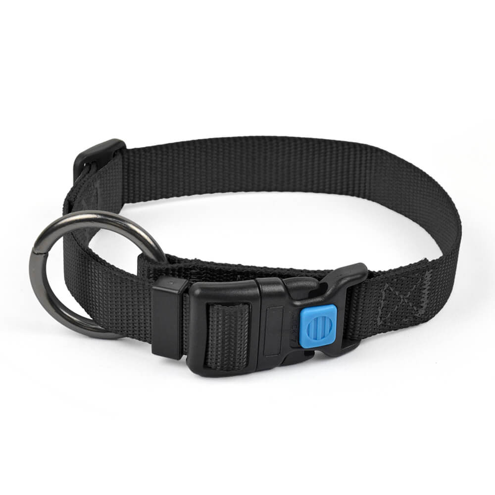 Dog Collar O Solid Color