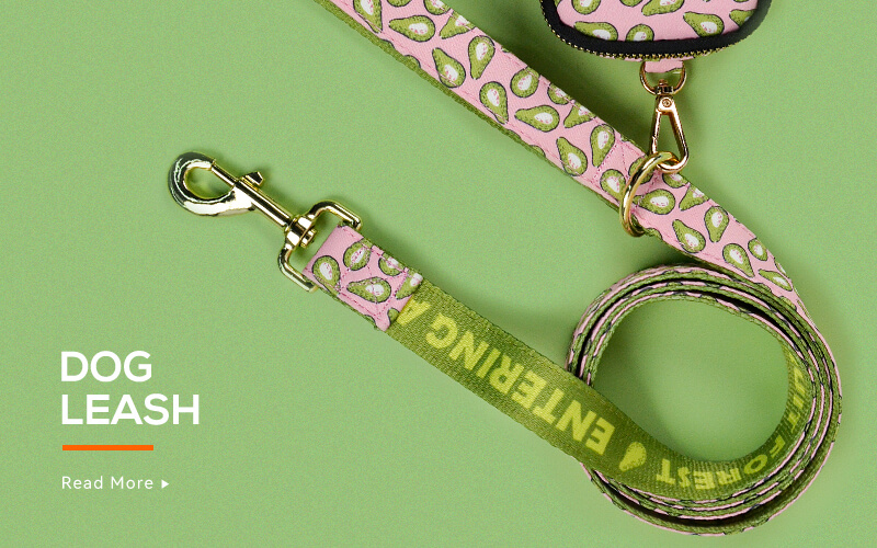 Leash