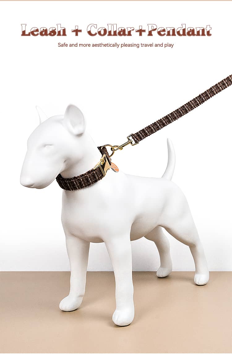 Dog Collar Leash Pet Outing Double Thickness