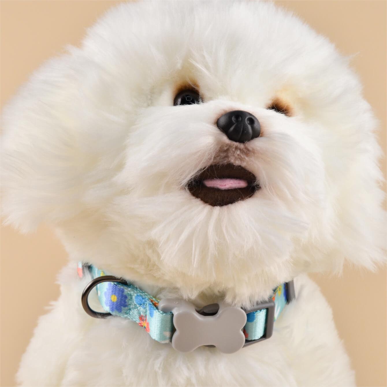 Dog Collar Sunflower Style