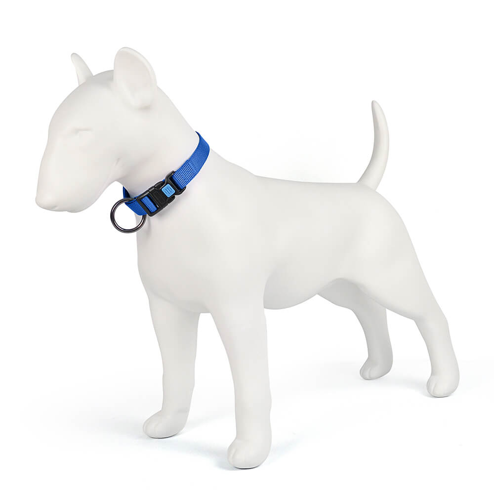 Dog Collar O Solid Color