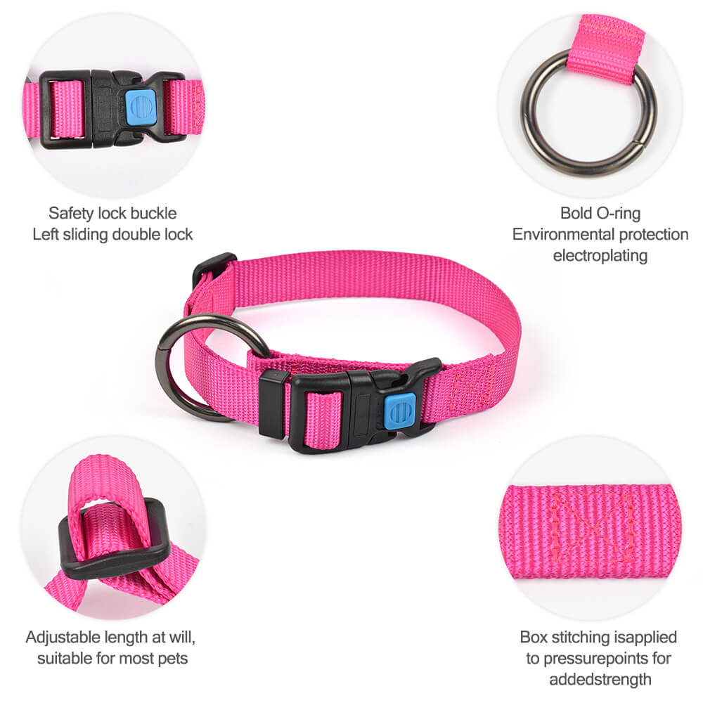 Dog Collar O Solid Color