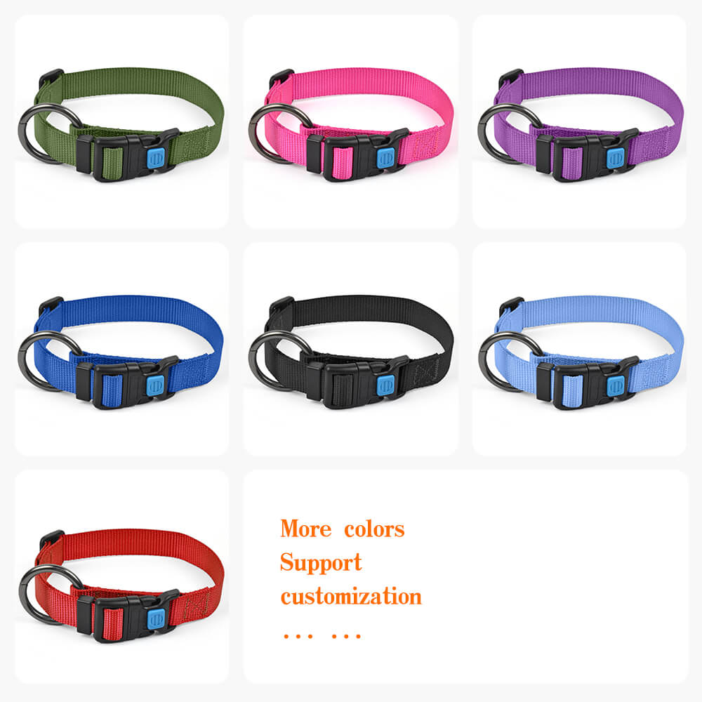 Dog Collar O Solid Color