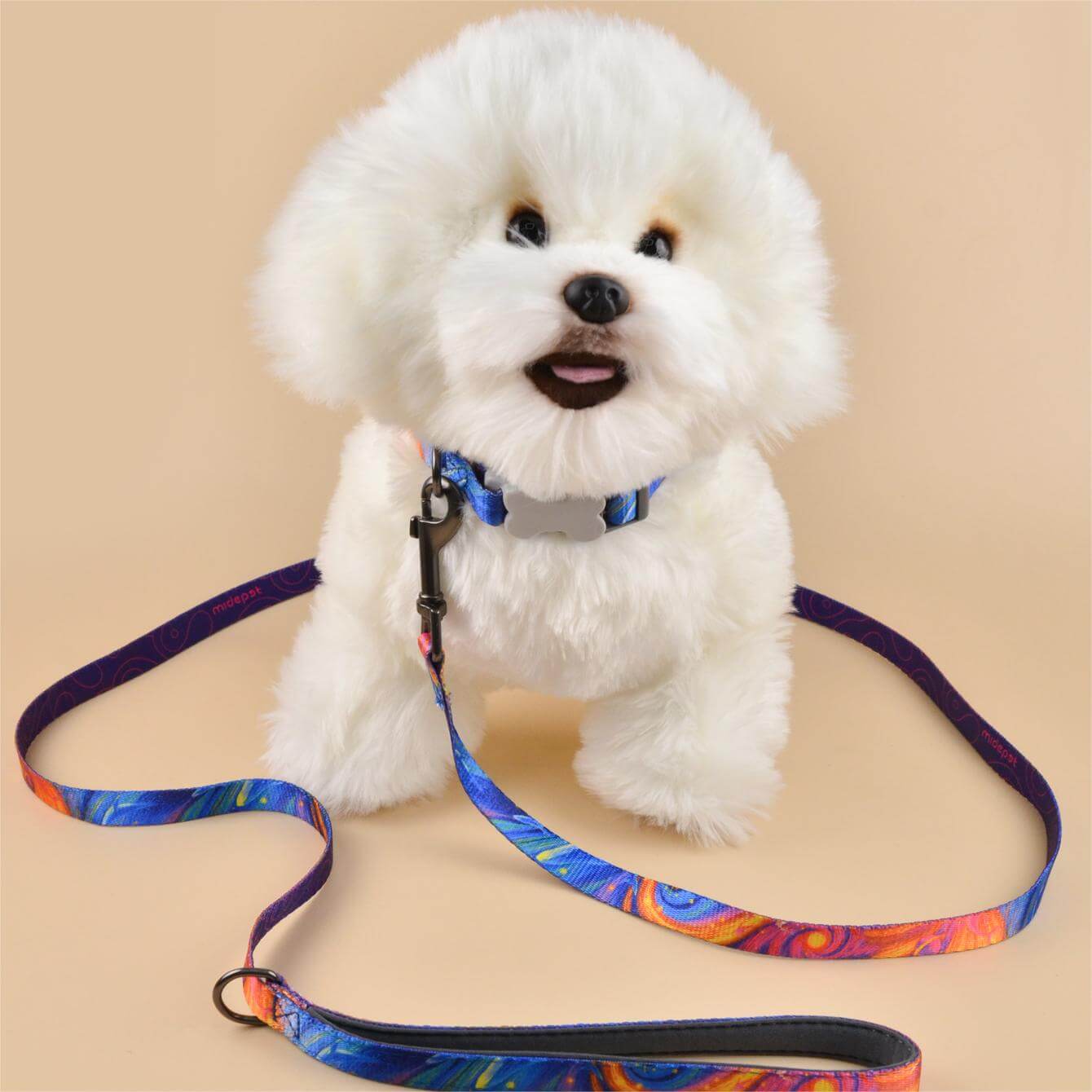 Dog Leash Star Sea style