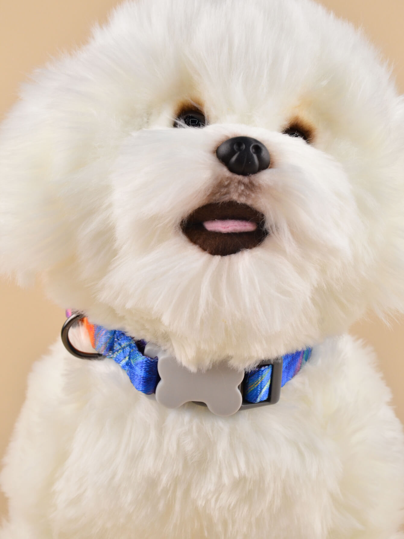 Dog Collar Star Sea Style