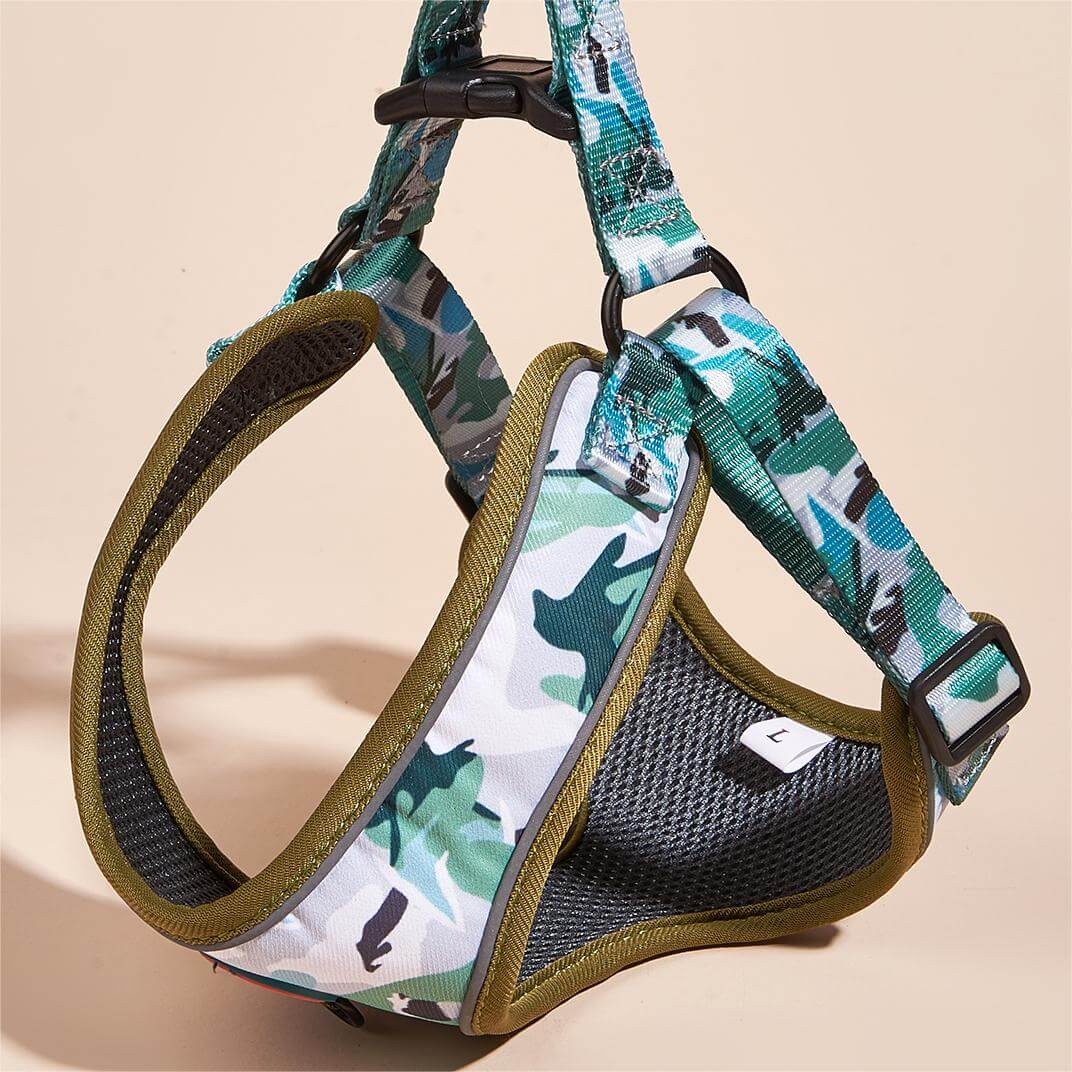 Heart Pattern Dog Harness for Small Dogs
