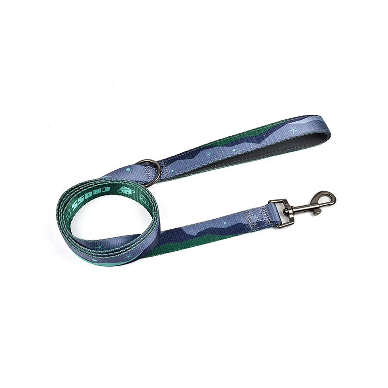 Crossing Cosmic Series Leash