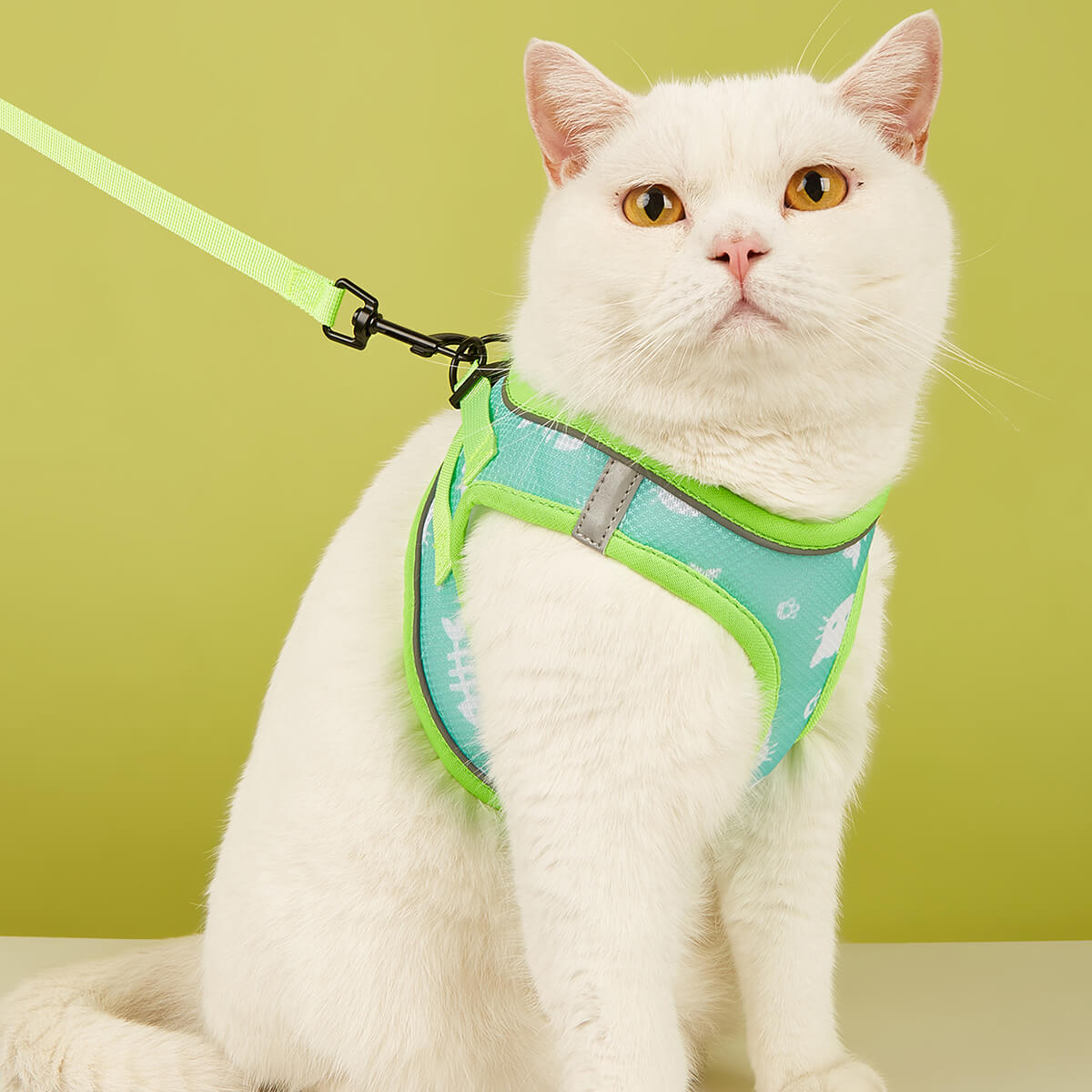 Full Body Escape Proof Cat Harness and Leash