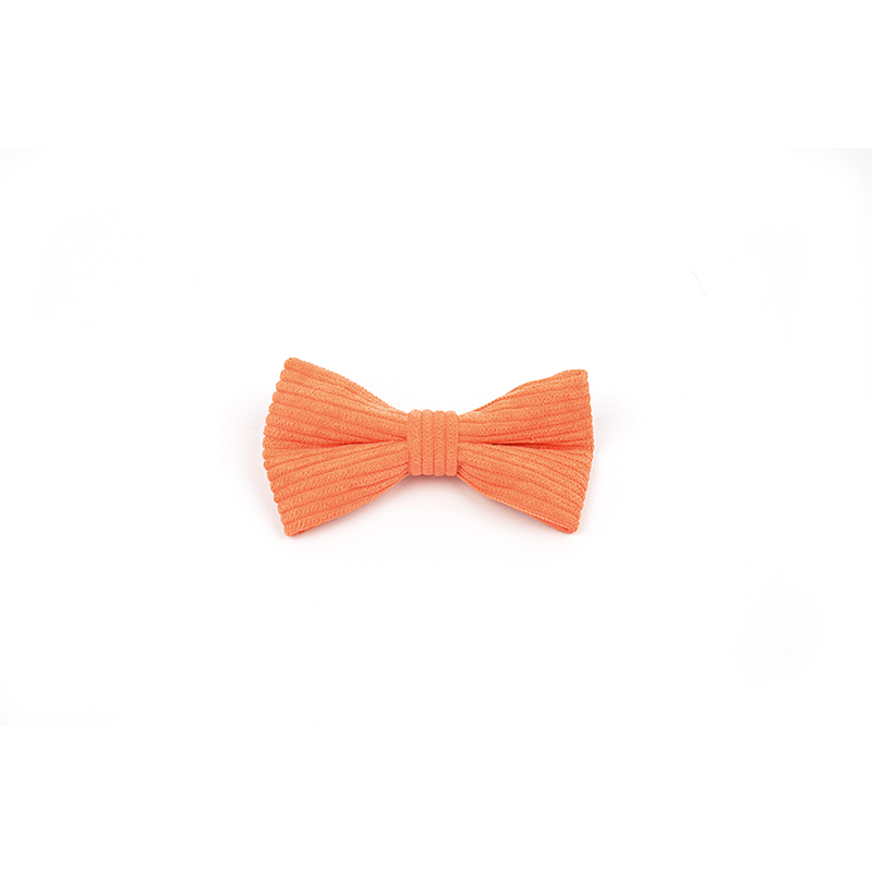 Pet Outing Corduroy bow tie