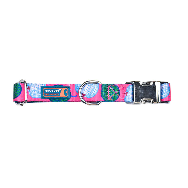 Pumpkin printing Dog Collar