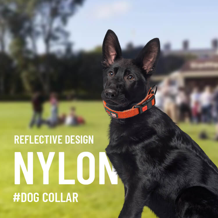 Solid Color Reflective Nylon Dog Collar