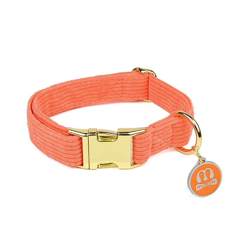 Pet Outing  Corduroy Collar