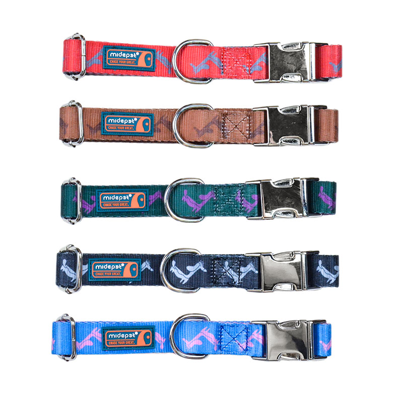 MIDEPET Branded Pattern and Dachshund Pattern Dog Collar