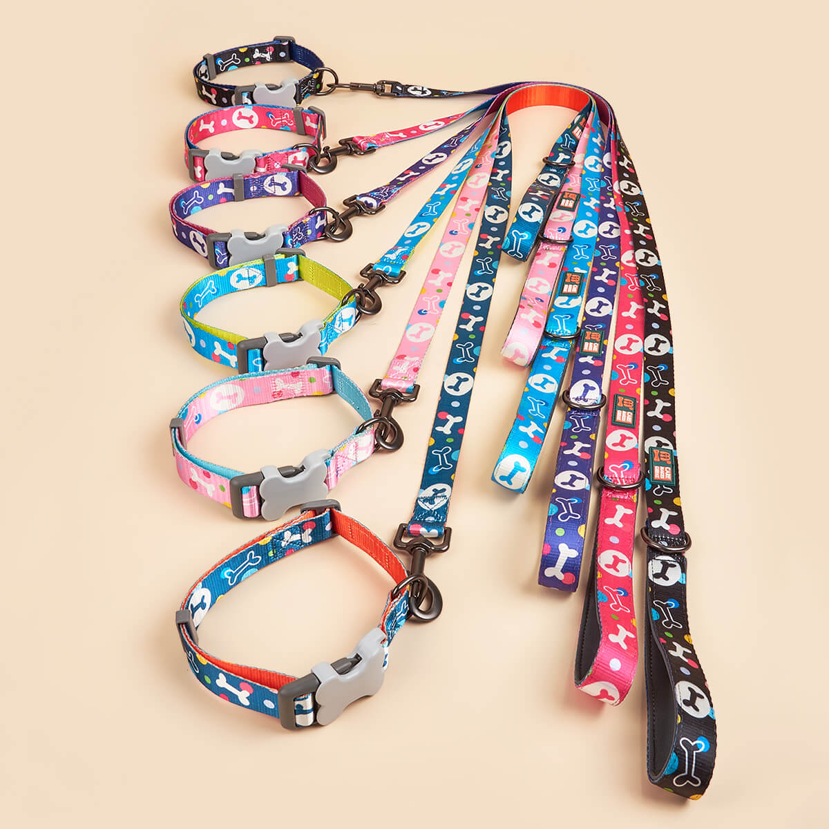 Bone Print Dog Collar With Leash Kit