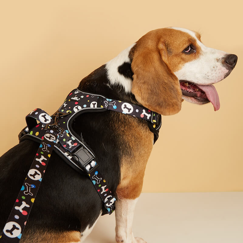 Bone pattern Hooded Dog Harness and Leash with Poop Bag Holder 3pcs