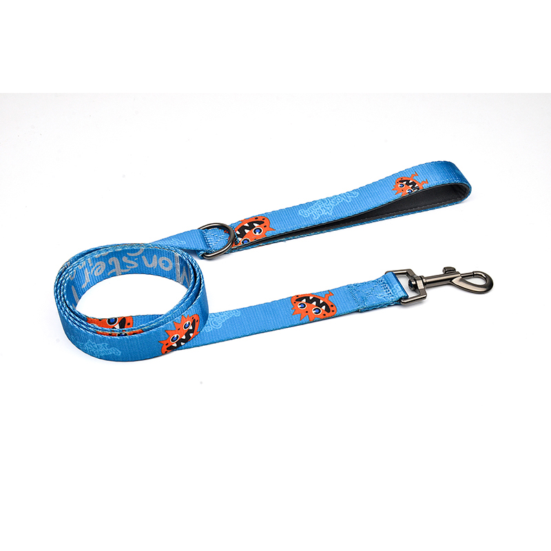 Monster is Coming Series Leash