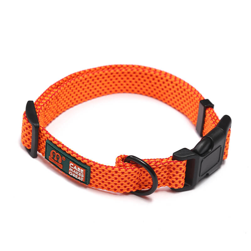 Embellished Polka Dot Solid Color Dog Collar