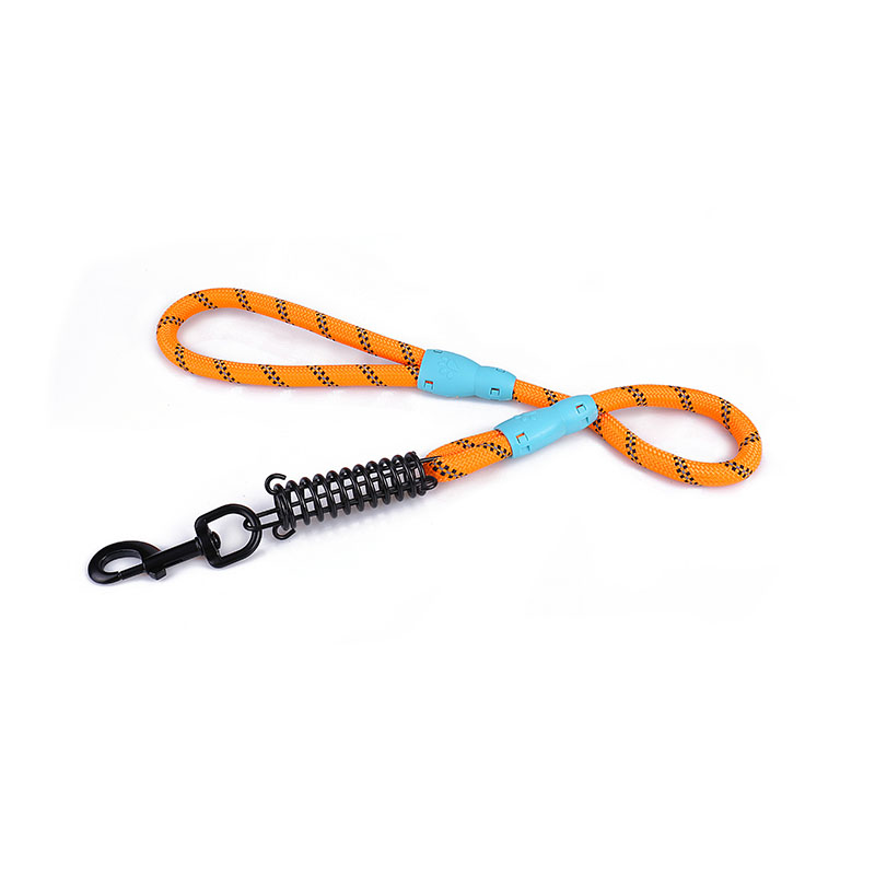 Shock Bsorbing short Leash for large dogs