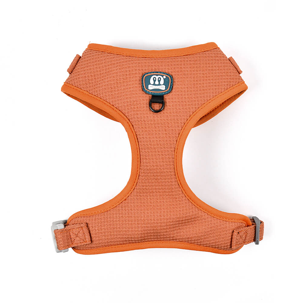 Solid Color Patterned Harness