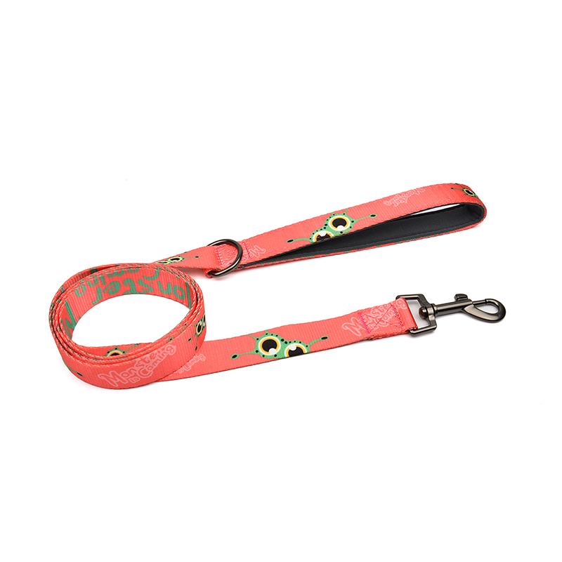Monster is Coming Series Leash