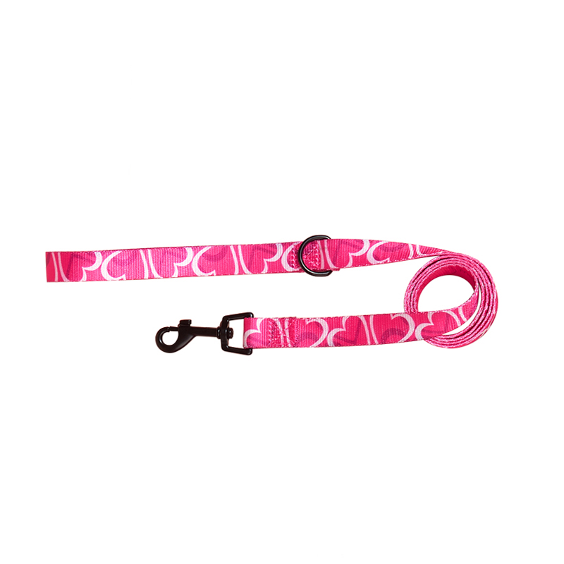 Heart Pattern Dog Leash for Small Dogs
