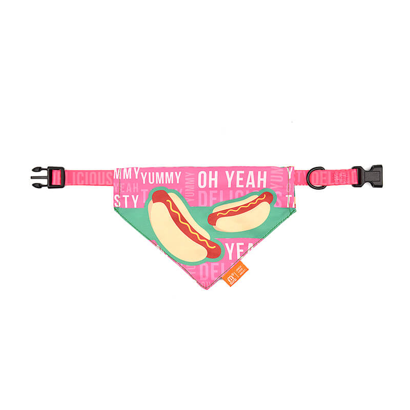 Dog Collar with Bandana Tropical Style