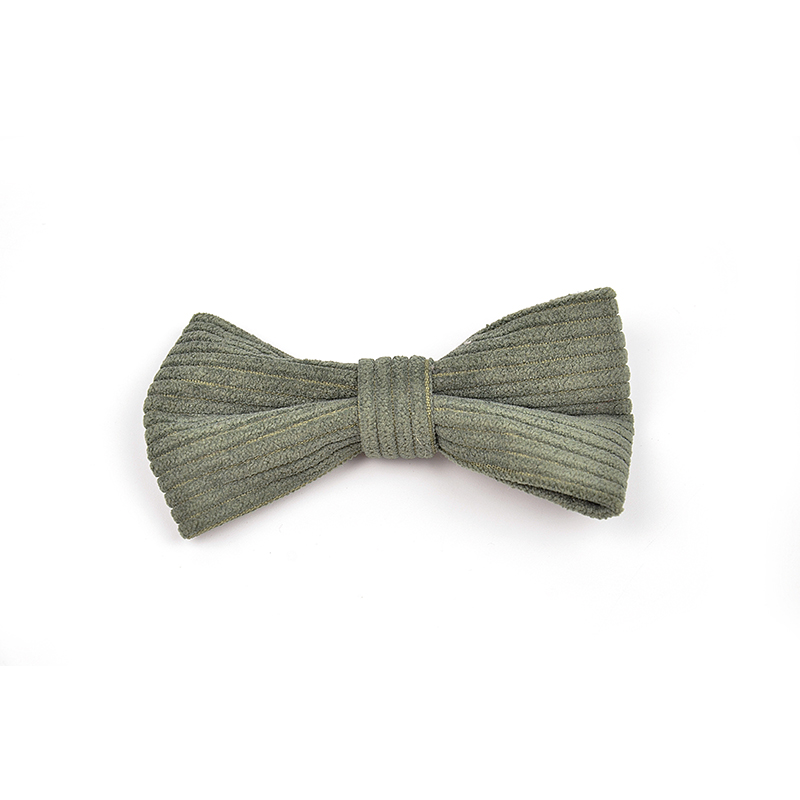 Pet Outing Corduroy bow tie