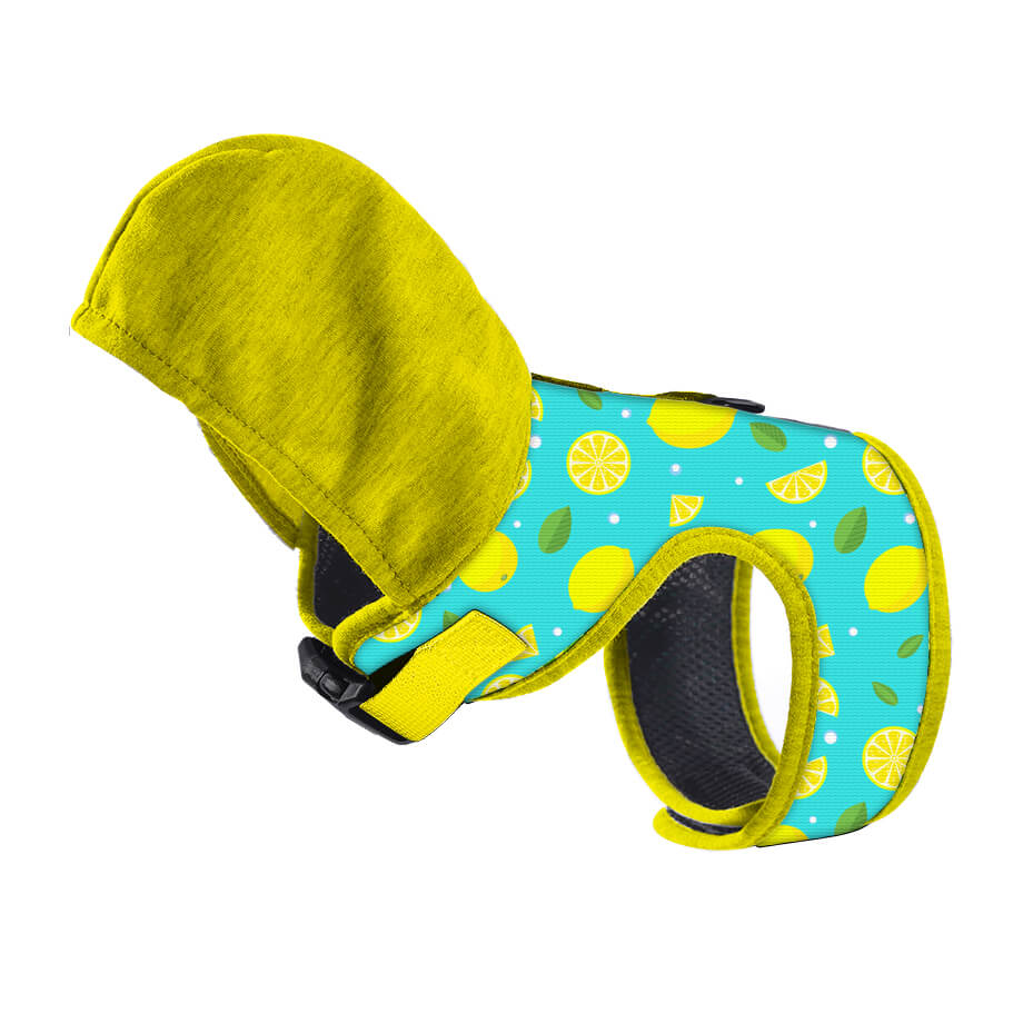 Cartoon Pattern Hooded Dog Harenss